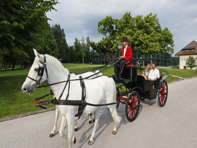 Elegans Hotel Brdo Kranj Eksteriør bilde
