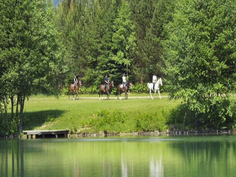 Elegans Hotel Brdo Kranj Eksteriør bilde